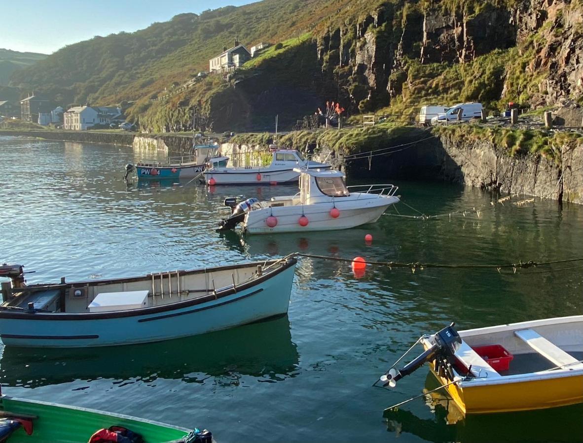 Polrunny Farm Elderberry Cottage With Sea View Boscastle Exterior foto