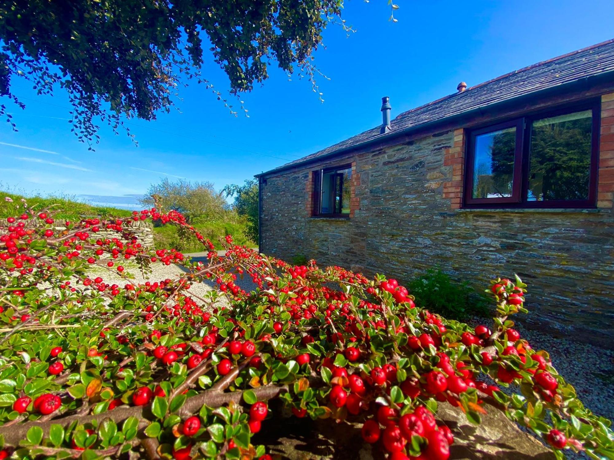 Polrunny Farm Elderberry Cottage With Sea View Boscastle Exterior foto